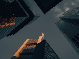 Patrick Walsh CEO- Business Rebirth